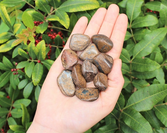 Bronzite Tumbled Stones: Choose How Many Pieces (Premium Quality 'A' Grade)