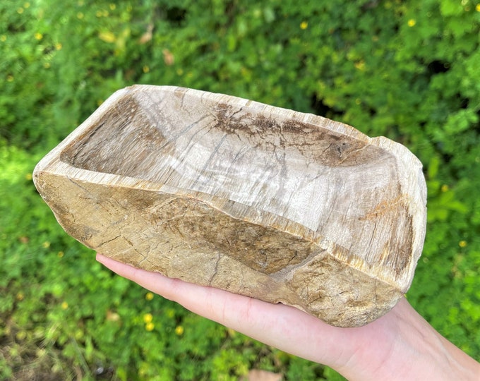 Petrified Wood Bowl - EXACT SPECIMEN Shown (Petrified Wood Decorative Crystal Bowl, From Indonesia, Home Decor, WB25)