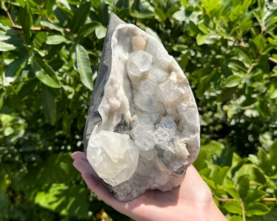 Apophyllite & Zeolite Crystal Cut Base Cluster - EXACT SPECIMEN Shown ('AAA' Grade Natural Apophyllite Cluster with Inclusions, AP7)