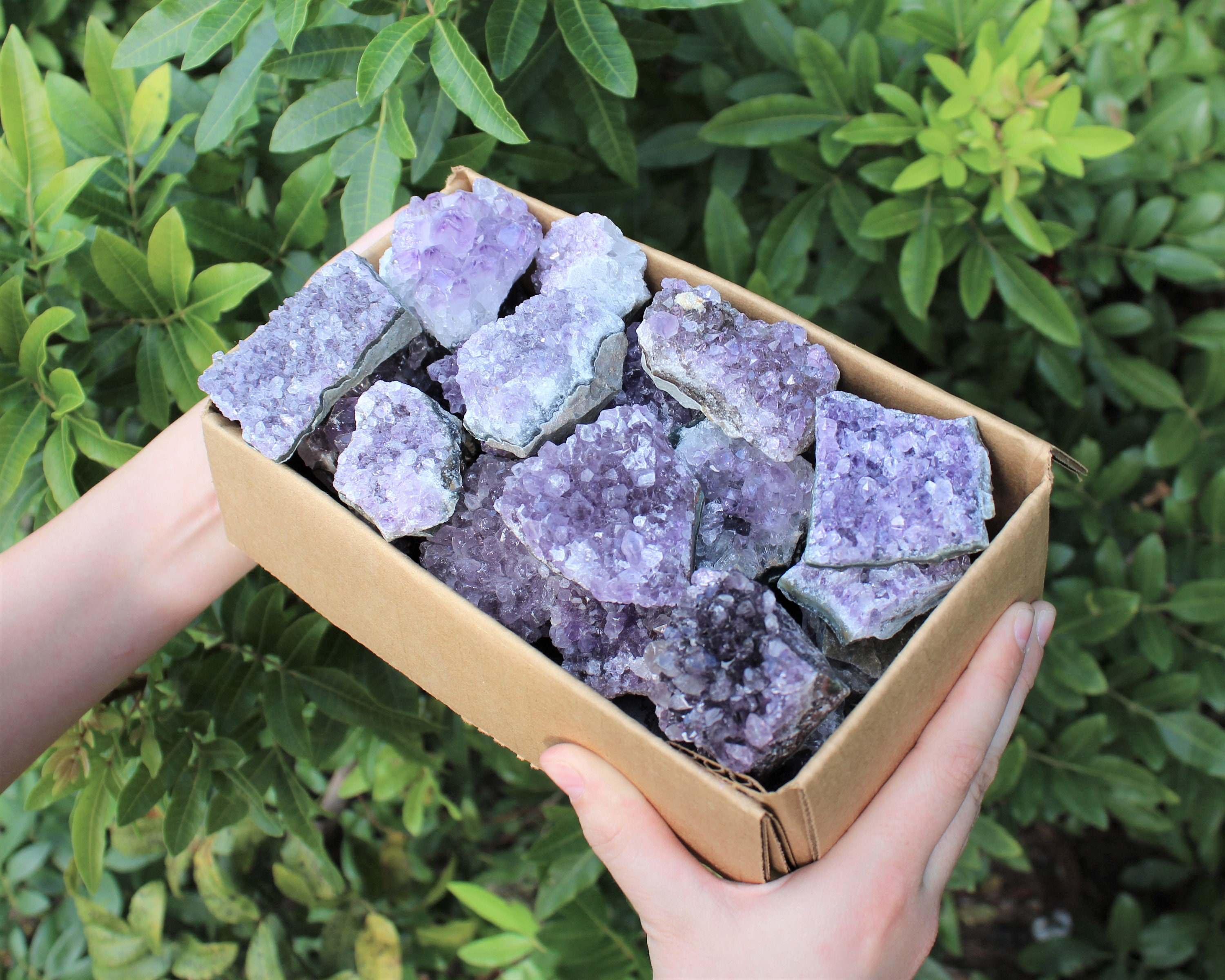 Wholesale Amethyst Cluster Box CLEARANCE Grade Box Lots Full of