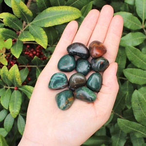 Bloodstone Tumbled Stones: Choose How Many Pieces (Premium Quality &#39;A&#39; Grade)