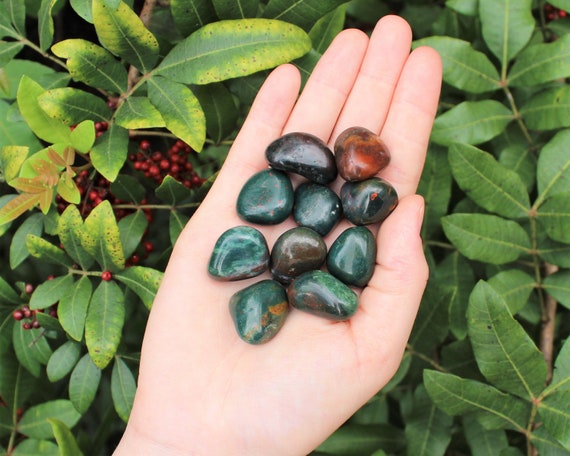 Bloodstone Tumbled Stones: Choose How Many Pieces (Premium Quality 'A' Grade)