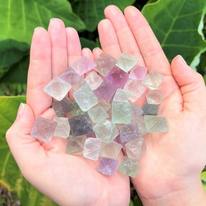 Fluorite Octahedron Natural Crystals: Choose How Many Pieces (Premium Quality 'A' Grade)