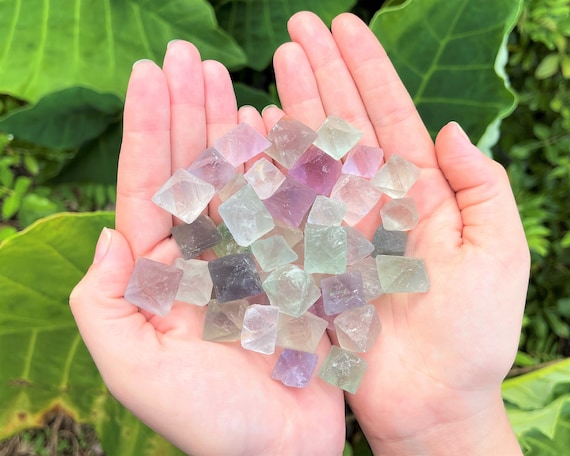 Fluorite Octahedron Natural Crystals: Choose How Many Pieces (Premium Quality 'A' Grade)