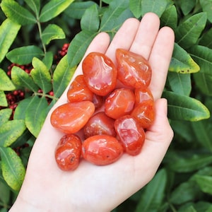 Carnelian Tumbled Stones: Choose How Many Pieces (Premium Quality 'A' Grade)