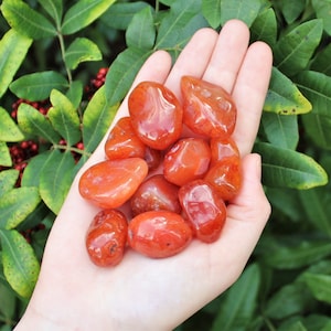 Carnelian Tumbled Stones: Choose How Many Pieces (Premium Quality &#39;A&#39; Grade)