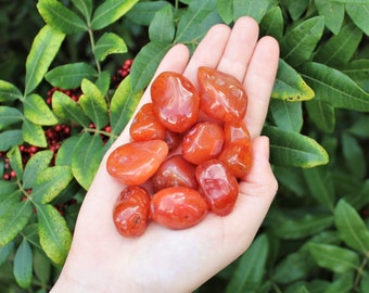 Carnelian Tumbled Stones: Choose How Many Pieces (Premium Quality 'A' Grade)