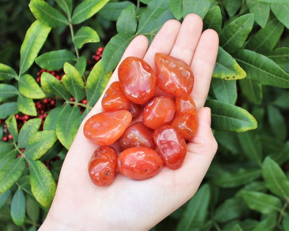 Carnelian Tumbled Stones: Choose How Many Pieces (Premium Quality 'A' Grade)