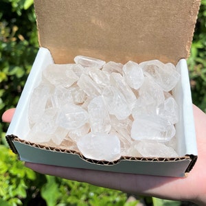 May include: A cardboard box filled with clear quartz crystal points. The crystals are various sizes and shapes, with a translucent appearance. The box is held in front of a green, leafy background.