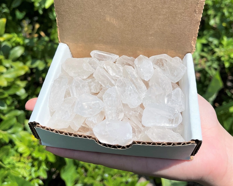 May include: A cardboard box filled with clear quartz crystal points. The crystals are various sizes and shapes, with a translucent appearance. The box is held in front of a green, leafy background.