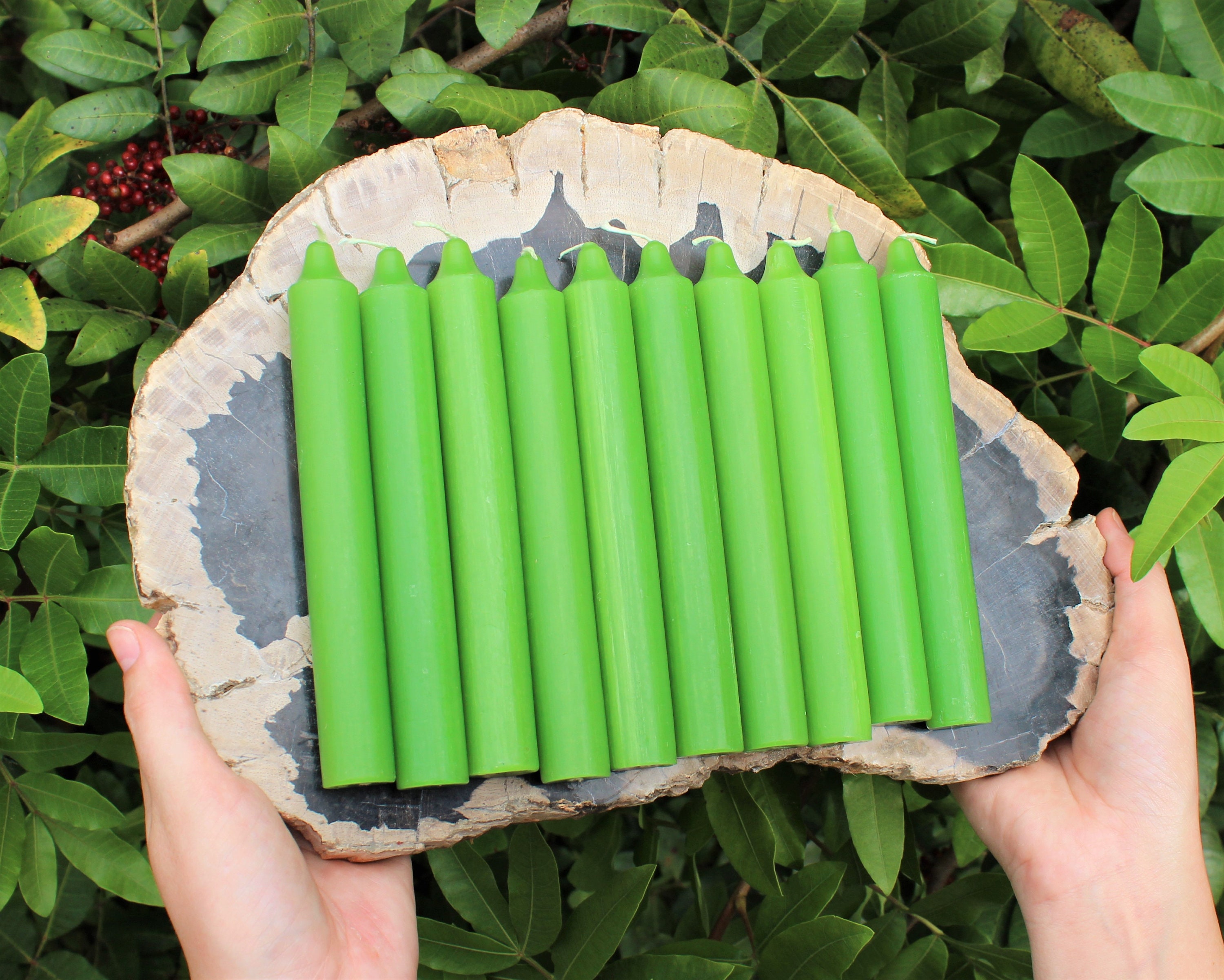Green Taper Candles, LARGE 6 Candles Choose How Many Bulk Wholesale Lots