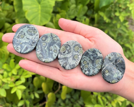 Kambaba Jasper Worry Stone - Choose How Many (Smooth Polished Worry Stone, Kambaba Jasper Palm Stone, Gemstone Pocket Stone)