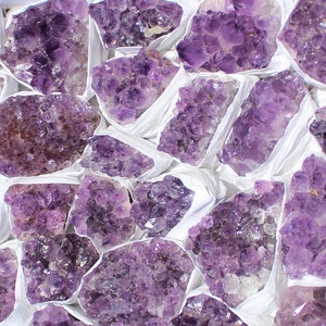 May include: A collection of amethyst crystal clusters, each with a unique shape and size, displayed on a white background. The crystals are a deep purple color and have a natural, rough texture.