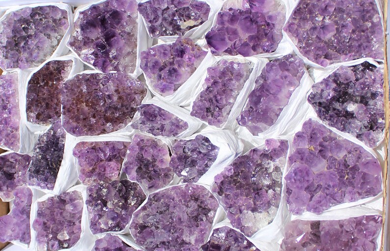 May include: A collection of amethyst crystal clusters, each with a unique shape and size, displayed on a white background. The crystals are a deep purple color and have a natural, rough texture.