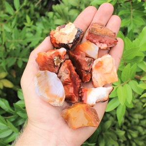Carnelian Rough Natural Stones: Choose How Many Pieces ('A' Grade Raw Carnelian Crystals)