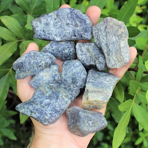May include: A handful of rough, blue-grey stones with textured surfaces. The stones vary in size and shape, with some showing hints of lighter grey and tan. Green foliage provides a natural backdrop.