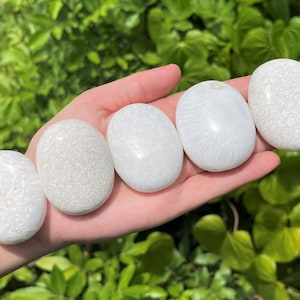 Scolecite Hand Polished Stones: Choose How Many (&#39;AAA&#39; Grade, Scolecite Pebble, Scolecite Palm Stone)