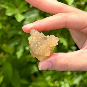 May include: A small, translucent, light golden-brown mineral cluster with a jagged, crystalline surface texture. The specimen features multiple pointed, geometric formations that catch the light, creating a multifaceted appearance.