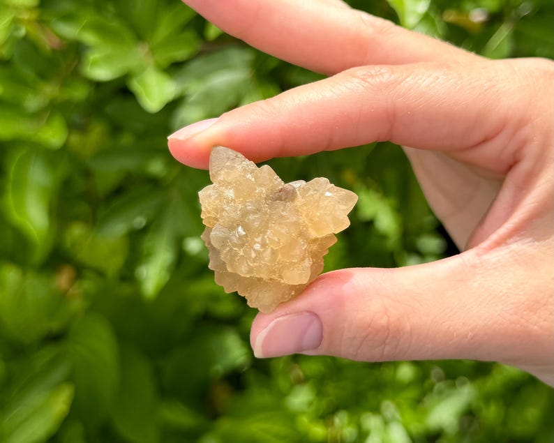 May include: A small, translucent, light golden-brown mineral cluster with a jagged, crystalline surface texture. The specimen features multiple pointed, geometric formations that catch the light, creating a multifaceted appearance.