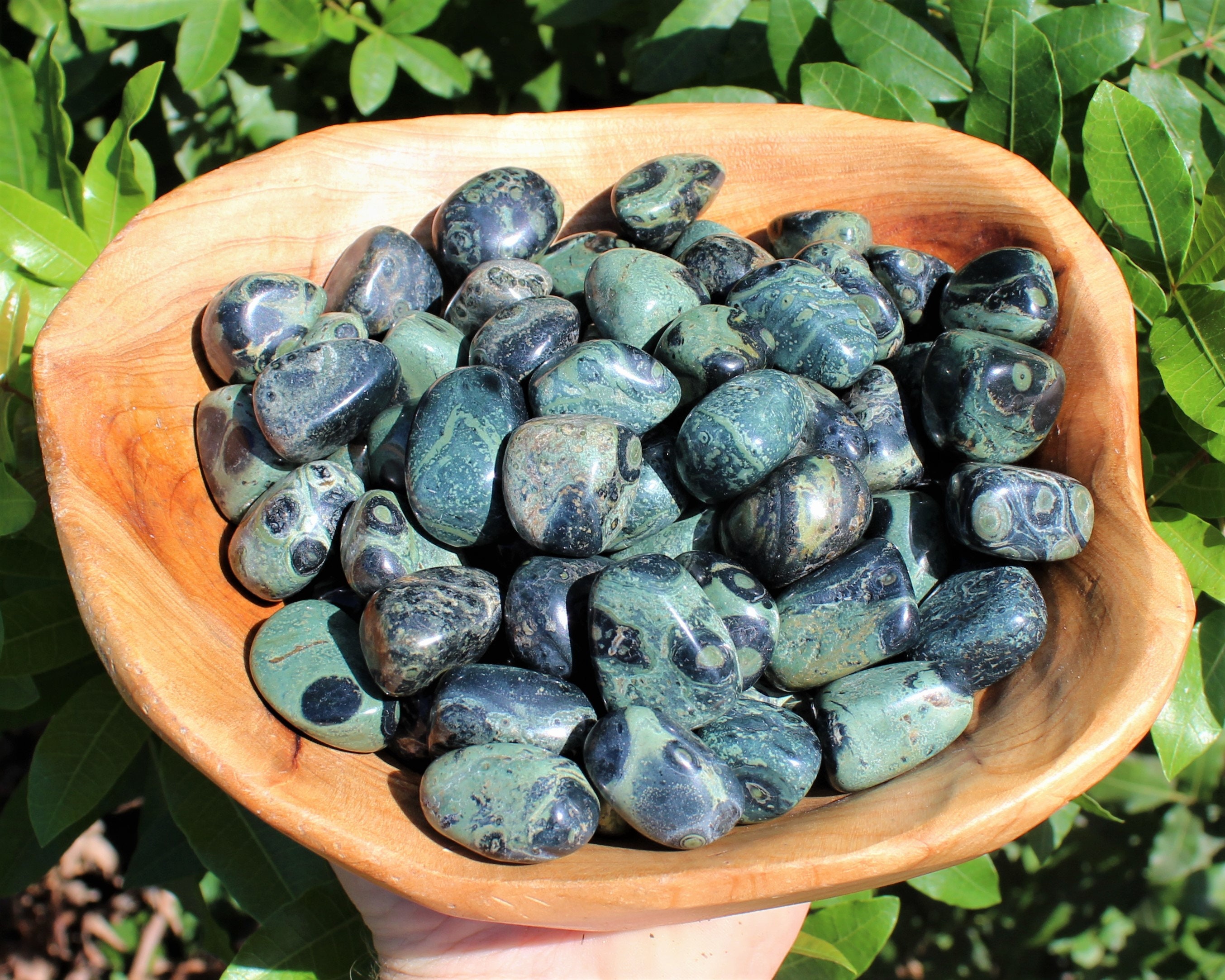 Kambaba Jasper Tumbled Stones Choose How Many Pieces ('A' Grade