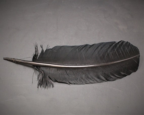 Black Turkey Feather for Smudging, Fanning, etc