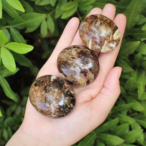 May include: Three smooth, round, brown and white gemstone tumbled stones in a hand. The stones have a mottled, marbled appearance.