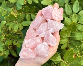 Rose Quartz Rough Natural Stones: Choose How Many Pieces (Premium Quality 'A' Grade Rose Quartz Crystals)