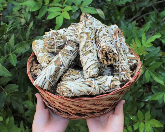 Yerba Santa Sage Smudge Wholesale Bulk Bundles, 4": Choose 1, 2, 3, 5, 10, 20, 50, or 100 Sticks (Sage Bundle, Yerba Santa Smudge)