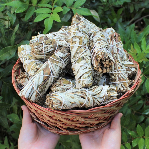 Yerba Santa Sage Smudge Wholesale Bulk Bundles, 4": Choose 1, 2, 3, 5, 10, 20, 50, or 100 Sticks (Sage Bundle, Yerba Santa Smudge)