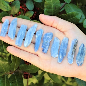 Natural Blue Kyanite Blades, 0.75" - 1.5": Choose How Many Pieces (Premium Quality 'A' Grade)