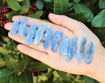 Natural Blue Kyanite Blades, 0.75" - 1.5": Choose How Many Pieces ('A' Grade Raw Kyanite Crystals)