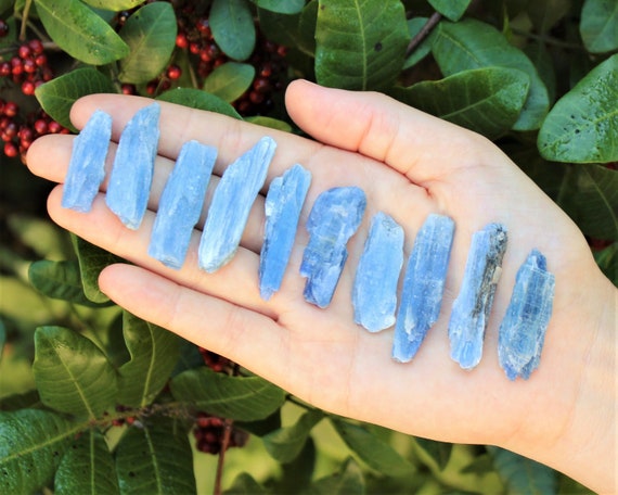 Natural Blue Kyanite Blades, 0.75" - 1.5": Choose How Many Pieces (Premium Quality 'A' Grade)