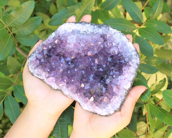 Jumbo Amethyst Cluster, CLEARANCE Quality Amethyst Crystals: You Choose Size (Crazy Cheap for Large 'B' Grade Amethyst Druze Clusters)