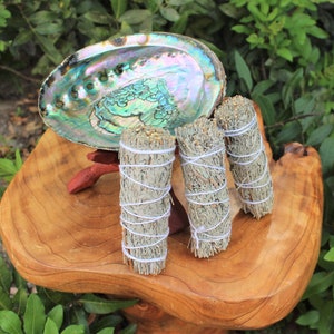 Home Smudging Kit - Premium Abalone Shell, 3 Blue Sage Smudge Sticks, 6&quot; Tripod Stand and Directions: House Cleansing & Blessing Kit