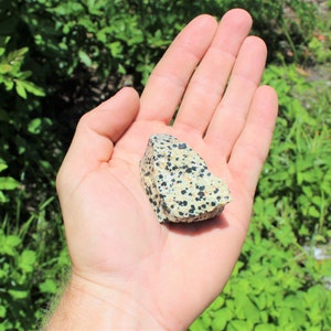 Dalmation Jasper Rough Natural Stones: Choose Ounces or lb Bulk Wholesale Lots Premium Quality 'A' Grade image 5