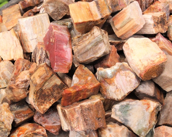 LARGE Petrified Wood Rough Natural Stones, 2 - 3": Choose Ounces or lb Bulk Wholesale Lots ('A' Grade, Raw Petrified Wood Crystals)