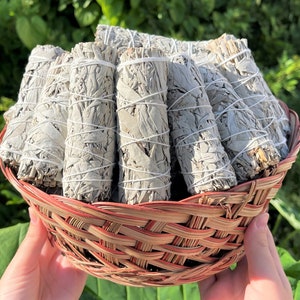 White Sage Smudge 4&quot; Sticks - Choose How Many, Wholesale Bulk Lots (Fresh Premium Quality Sage Bundles For Purifying, Cleansing & Blessing)