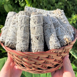 White Sage Smudge Wholesale Bulk Bundles: Choose 1, 2, 3, 5, 10, 20, 50, or 100 Sticks (4" White Sage Sage Bundle, Smudge Stick)