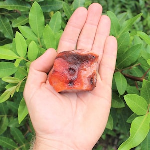 May include: A close-up of a red carnelian crystal in a hand. The crystal is a deep red color with white and brown markings. It is a rough, natural stone.