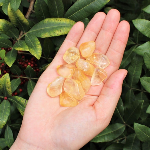 Citrine Tumbled Stones: Choose How Many Pieces (Premium Quality 'A' Grade)