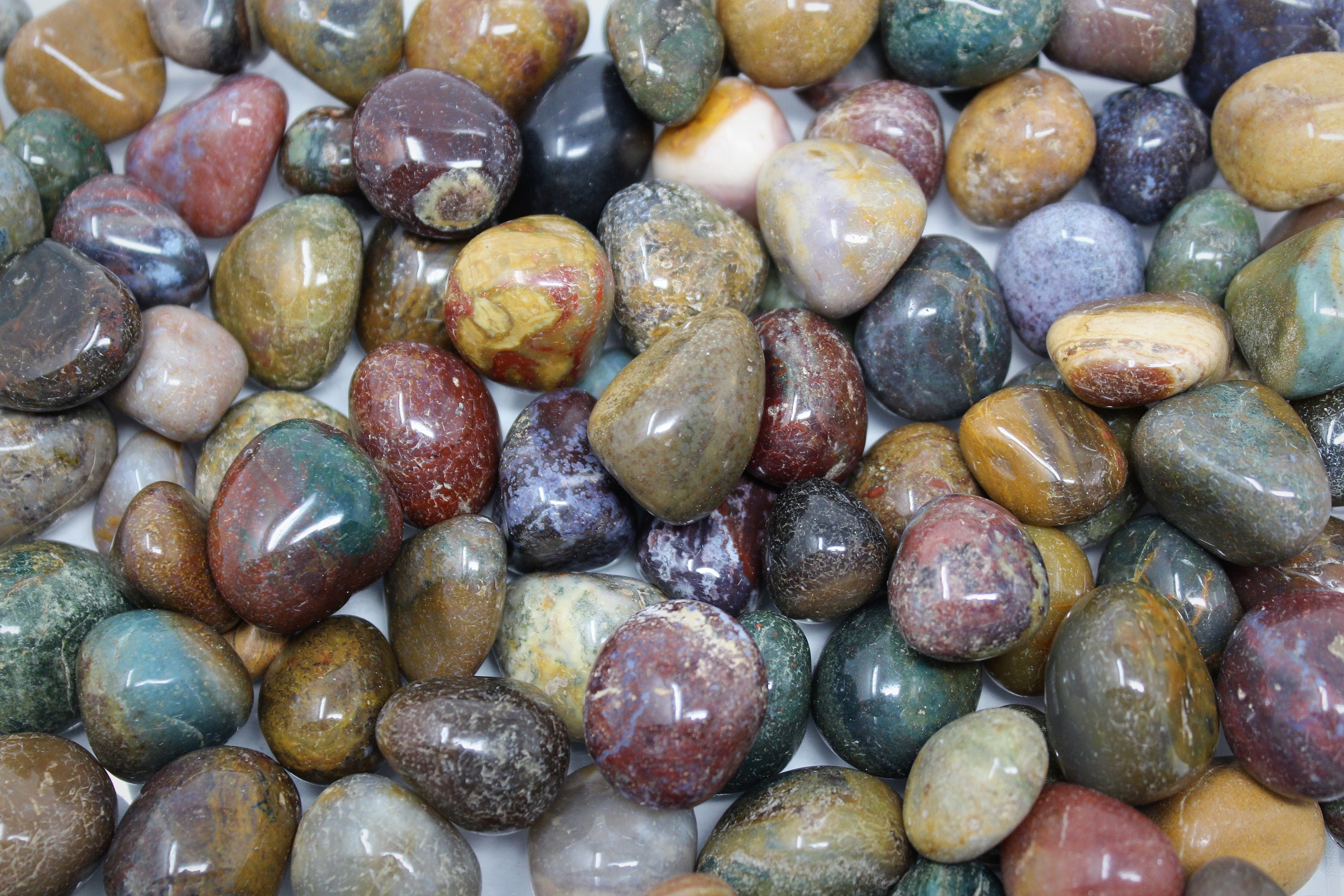 fancy jasper fancy jasper