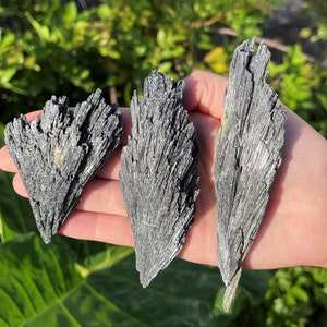 Black Kyanite Blades, Large 2 - 3", Extra Large 3 - 4", or HUGE 4 - 5": Choose How Many Pieces (Premium Quality 'A' Grade)