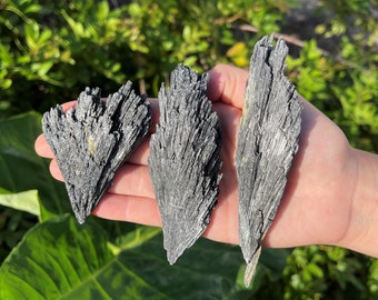 Black Kyanite Blades, Large 2 - 3", Extra Large 3 - 4", or HUGE 4 - 5": Choose How Many Pieces (Premium Quality 'A' Grade)