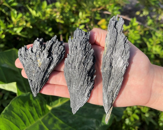 Black Kyanite Blades, 1 - 5" LARGE Natural Kyanite Crystals - Choose Size and How Many (Premium Quality Black Kyanite Fans, Kyanite Brooms)