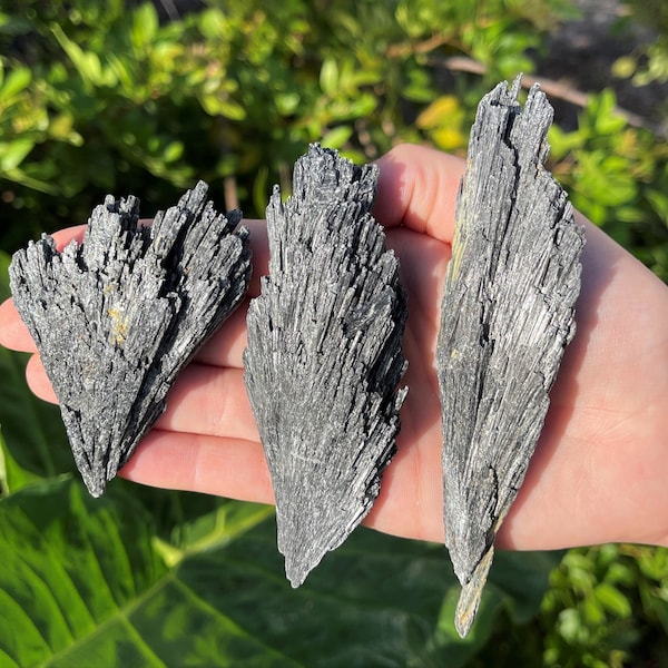 Black Kyanite Blades, Large 2 - 3", Extra Large 3 - 4", or HUGE 4 - 5": Choose How Many Pieces (Premium Quality 'A' Grade)