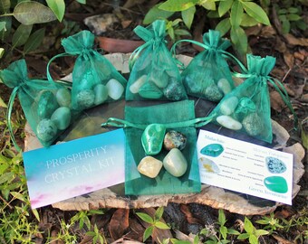 Prosperity Crystal Kit, 4 pcs In Organza Pouch - Most Popular Tumbled Crystal Gift Kits (Good Luck Chakra Protection Healing Sets)