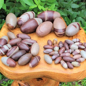 Pu&ograve; includere: Una collezione di pietre striate marroni e bianche, conosciute come Shiva Lingam, disposte su una superficie di legno. Le pietre variano di dimensioni, da piccole a grandi, alcune sono di forma ovale e altre pi&ugrave; allungate.
