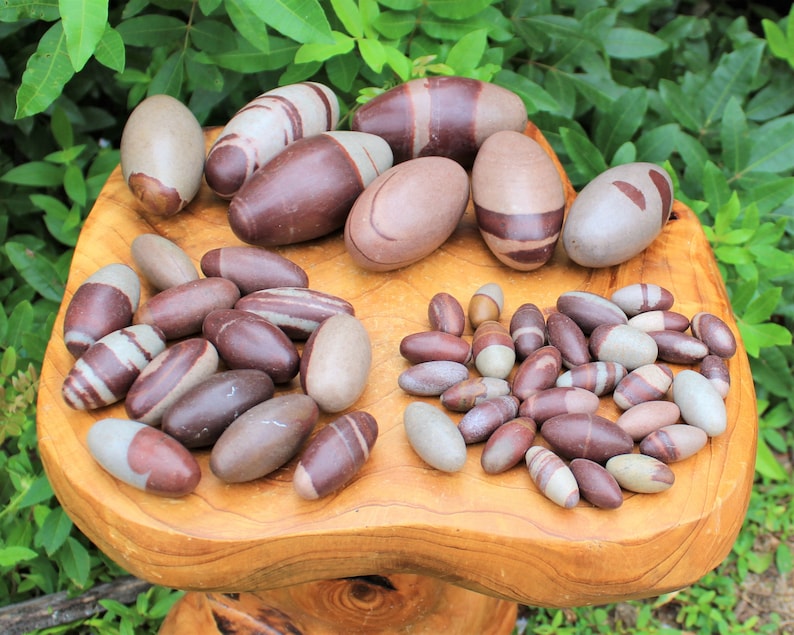 Pu&ograve; includere: Una collezione di pietre striate marroni e bianche, conosciute come Shiva Lingam, disposte su una superficie di legno. Le pietre variano di dimensioni, da piccole a grandi, alcune sono di forma ovale e altre pi&ugrave; allungate.