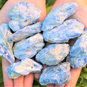 Natural Blue Kyanite in Matrix Chunks: Choose How Many (&#39;A&#39; Grade Premium Quality Blue Kyanite Crystals)