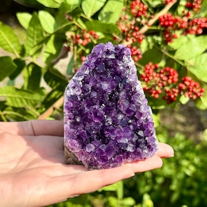 Medium Amethyst Cut Base Clusters, Stunning Amethyst Crystal Quartz Geodes: 5 - 7 oz (A Grade, Uruguayan Amethyst Free Standing Crystal)